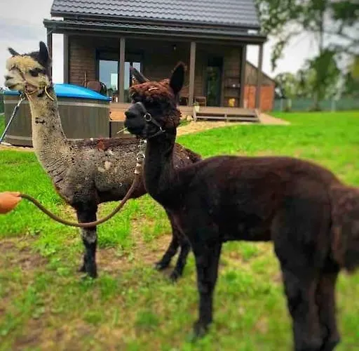 Dzika Mieta Holiday home Warkaly